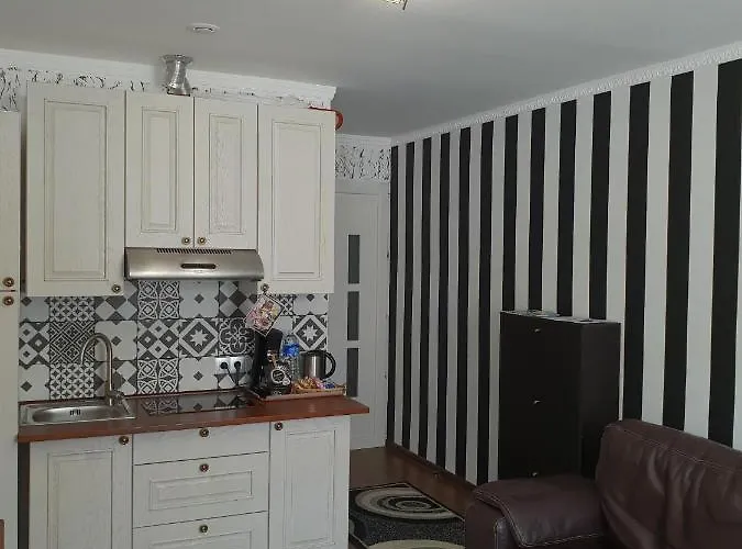 Apartment Centre Avec Garage Sur Demande *